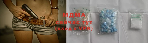 a pvp Бородино