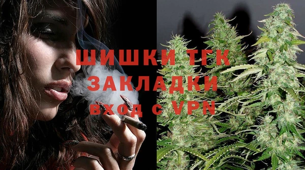 a pvp Бородино