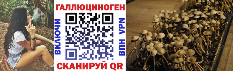 Галлюциногенные грибы MAGIC MUSHROOMS  купить  цена  Крым 